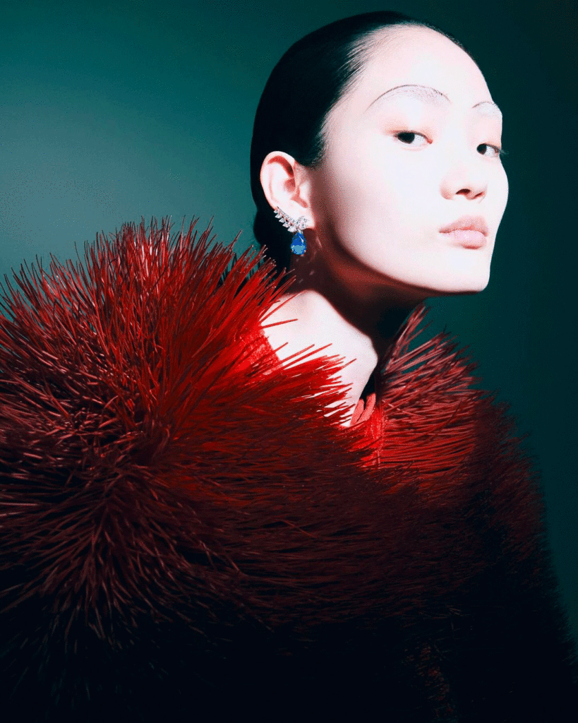 vogue korea - photographer Kim Tae Kyun - styling Aline De Beauclaire - hair olivier lebrun - w-mmanagement - wm-artist management - milano - agency