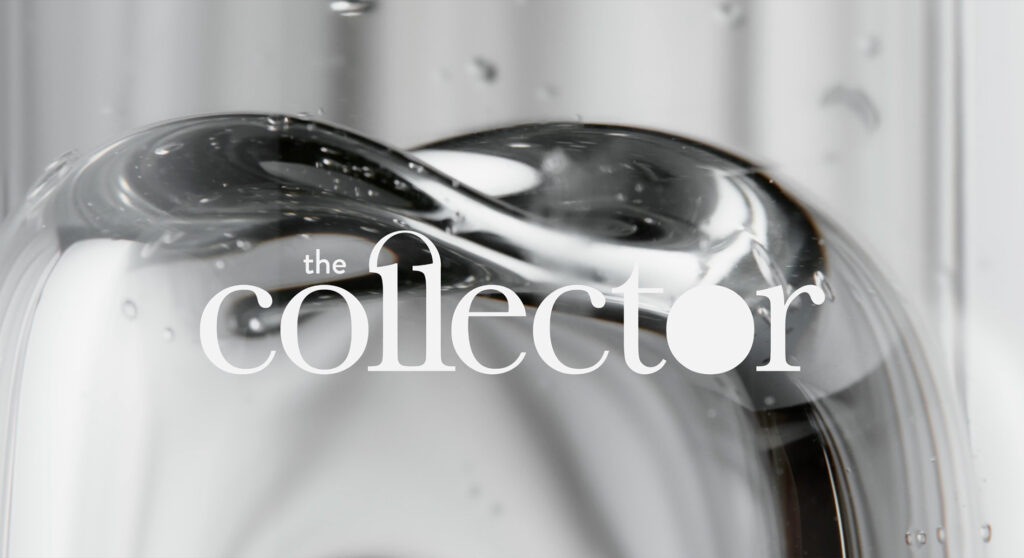 The collector - creative director anna maria negri